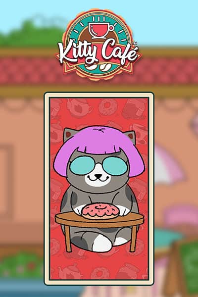 Kitty Café